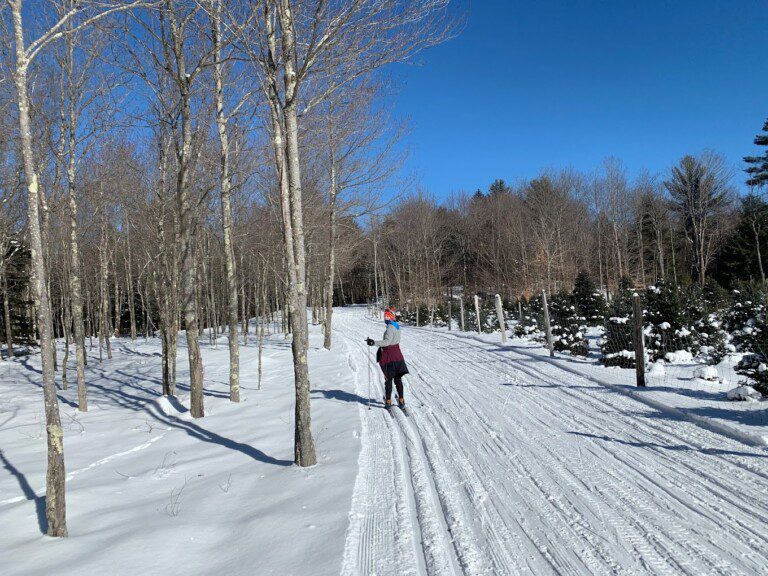 Pineridge Cross Country Ski Area